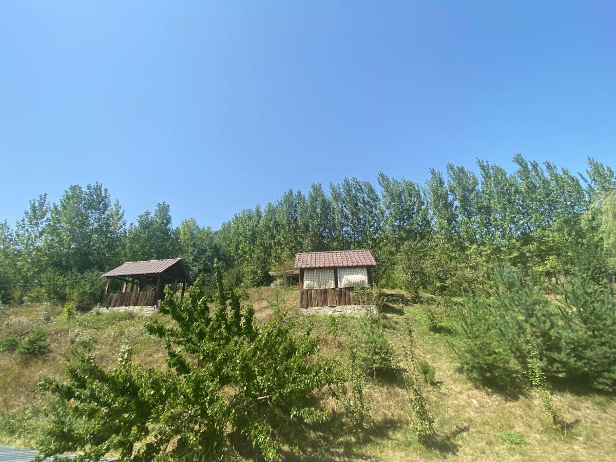 Hotel Nirvana Dilijan Exterior foto