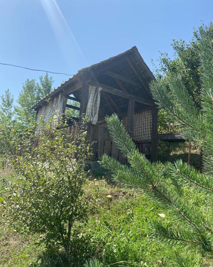Hotel Nirvana Dilijan Exterior foto