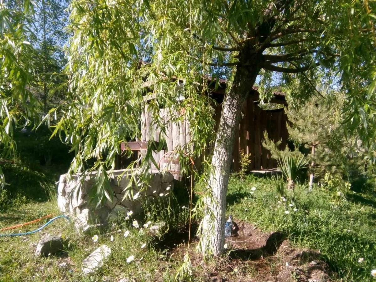 Hotel Nirvana Dilijan Exterior foto